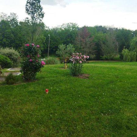 Chambre Avec Entree Independante Dans Un Ecrin De Verdure Dommartin  Buitenkant foto